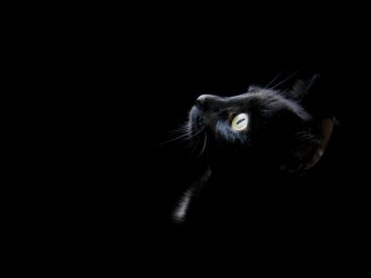 Preto
