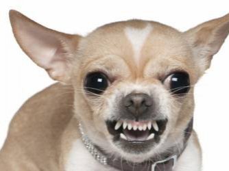 grr