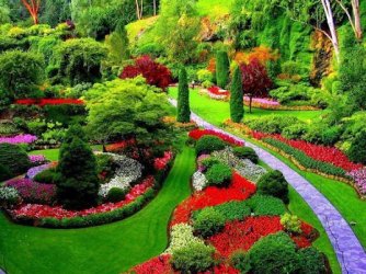 Parque