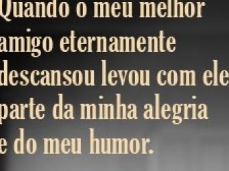 a morte dos meus amigos