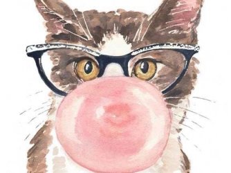 Gatos!