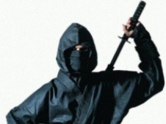 Ninja mestre