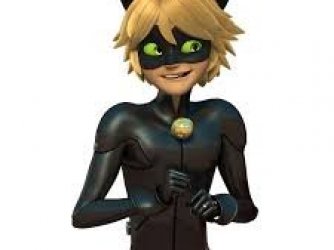 Cat noir