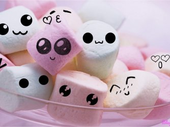 fofa