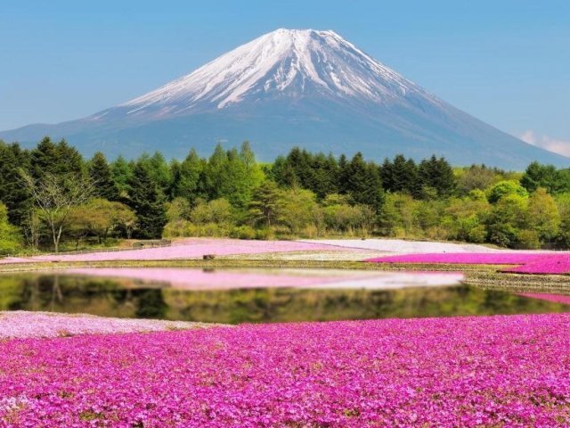 Japão