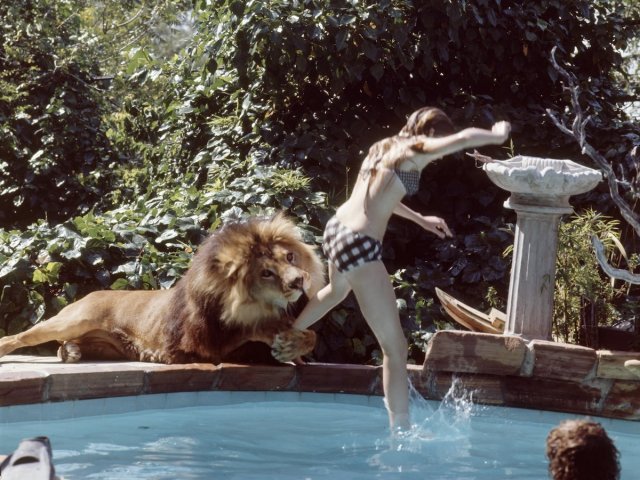 Neil relaxando de boa na piscina com o resto da família