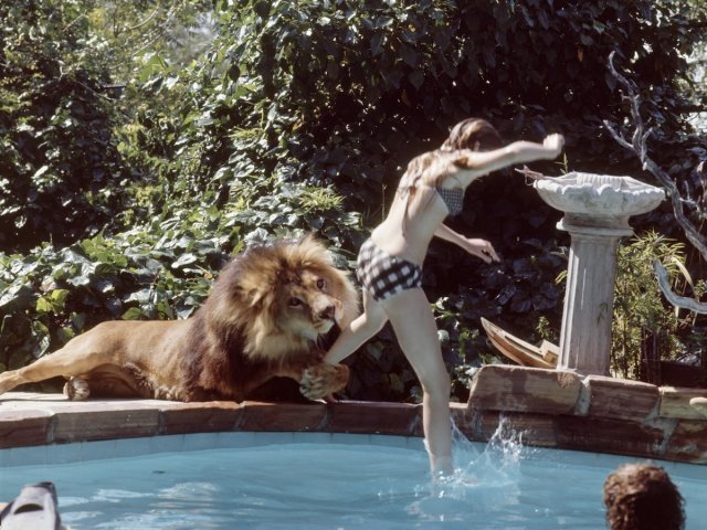 4. Neil relaxando de boa na piscina com o resto da família