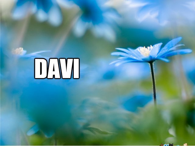 Davi
