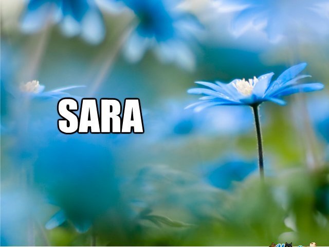Sara