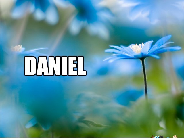 Daniel