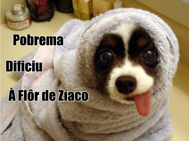 Será que você consegue acertar as palavras que quase todo mundo erra?