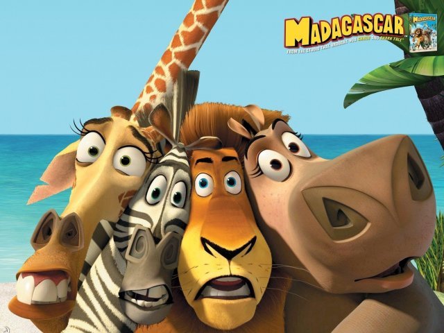 Qual personagem de Madagascar você seria?