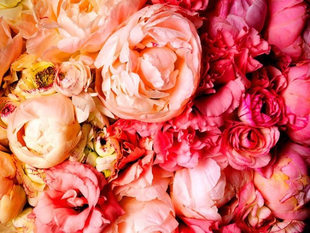 Floral
