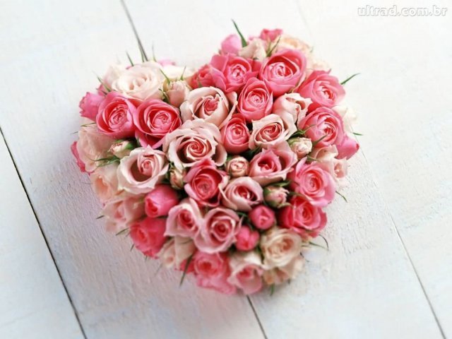 Flores