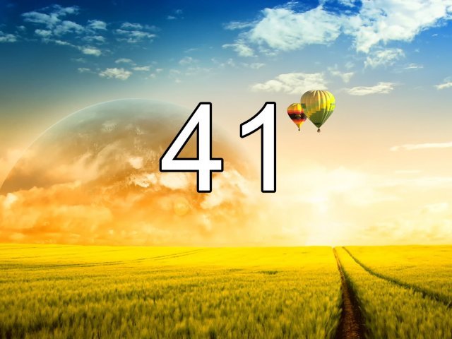 41