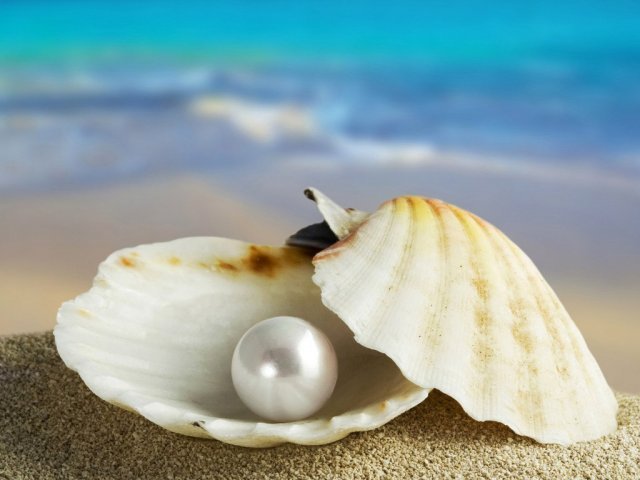 Perola