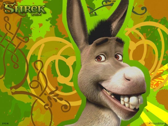 Burro