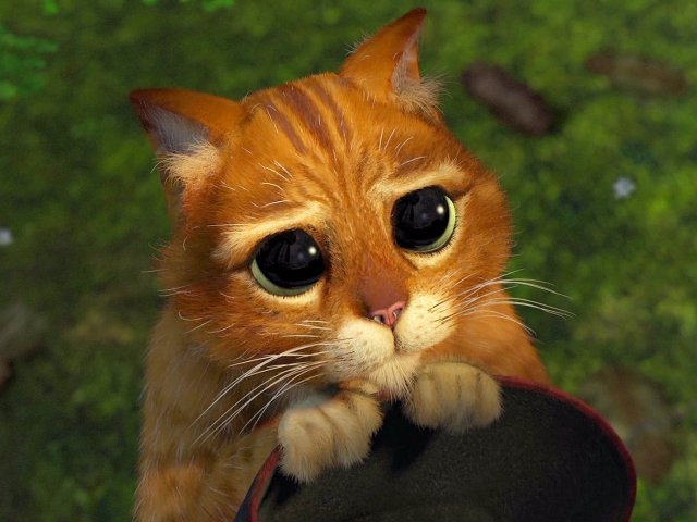 Gato de Botas