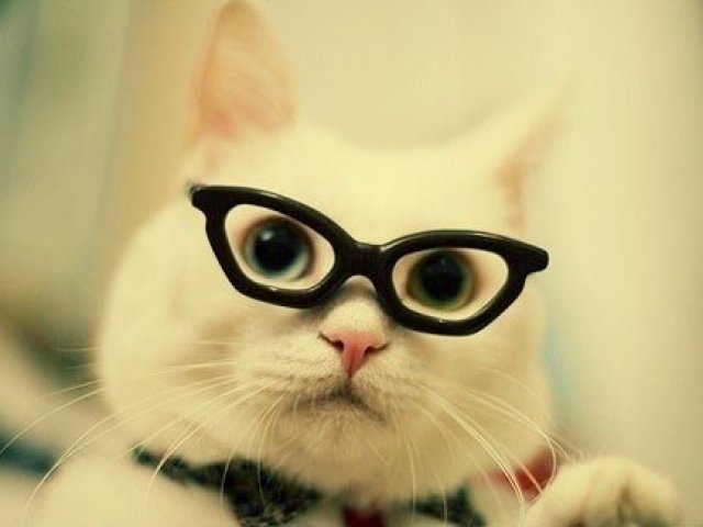 Intelectual