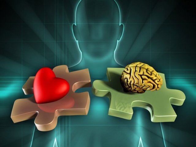 75% Emocional e 25% Analítica