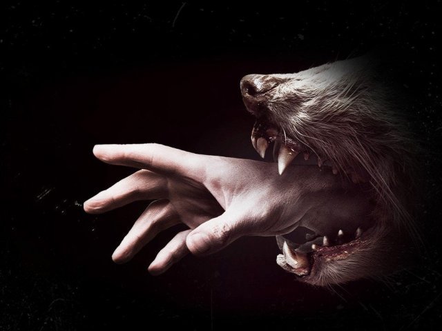Hemlock Grove