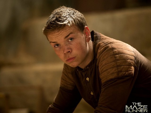 Gally