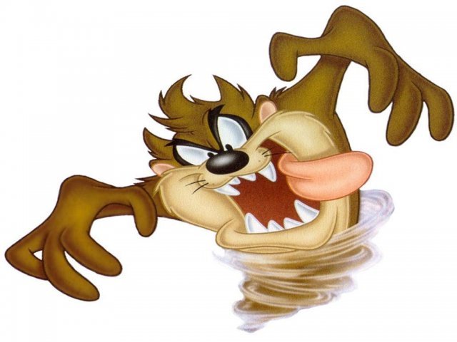 Taz
