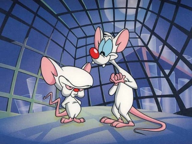 Pinky e Cérebro