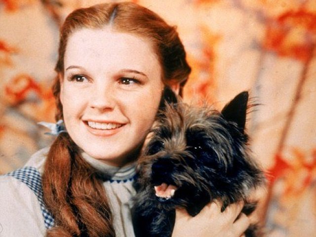 Dorothy