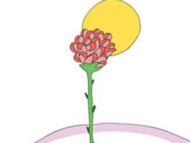 A Rosa