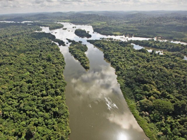 10. Amazônia