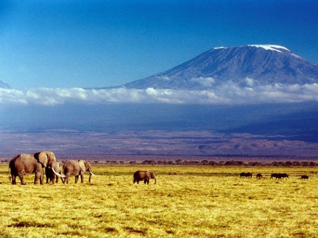 As neves eternas do Kilimanjaro