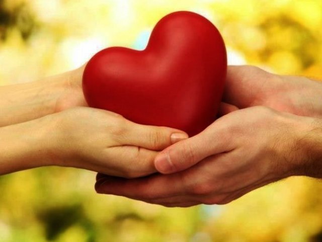Amor