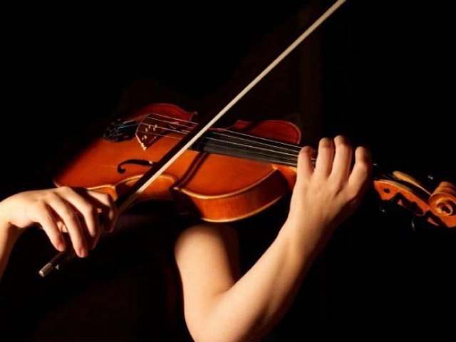 Violino