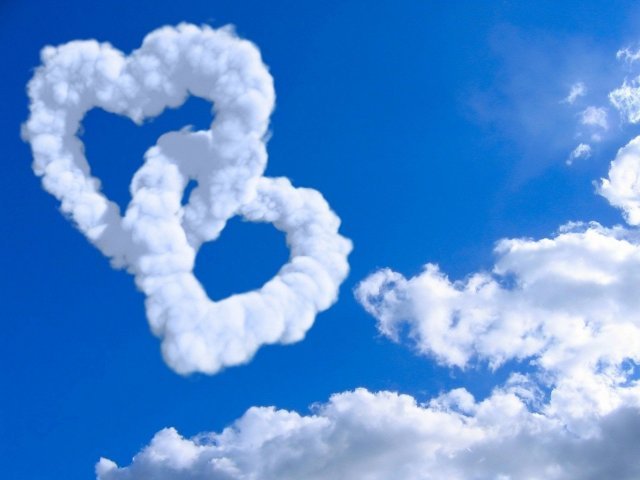 Amor