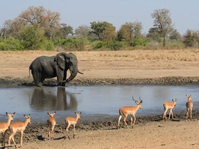 5. Parque nacional Kruger - África do Sul