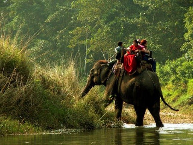 7. Parque Nacional Chitwan - Nepal