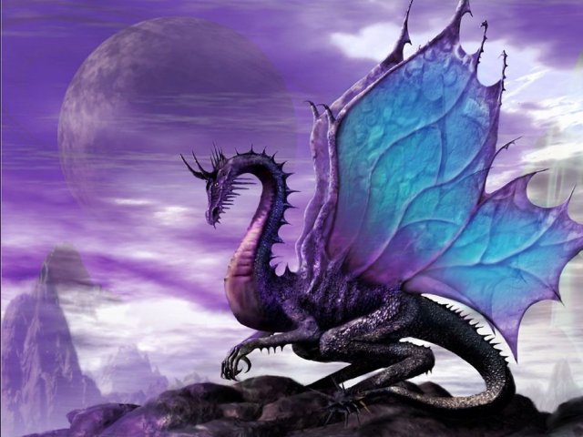 Um dragão!