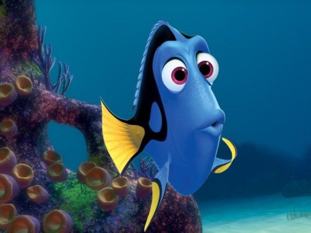 Dory!