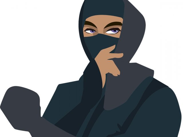 Ninja
