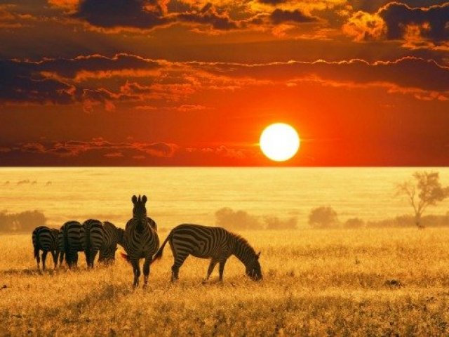 África do Sul