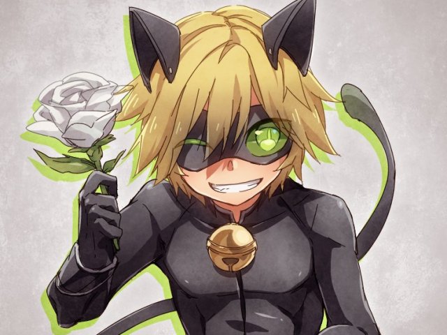 Você sabe bastante! Aqui, tome um Chat Noir <3