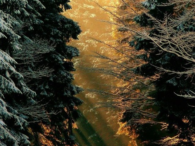Luminar