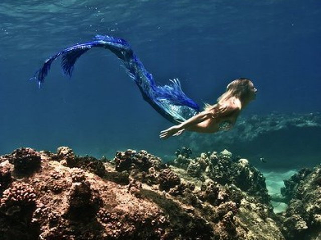 Sereia
