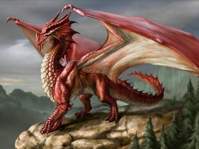 Dragão