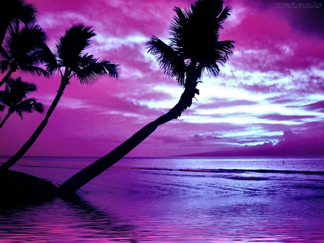 Roxo