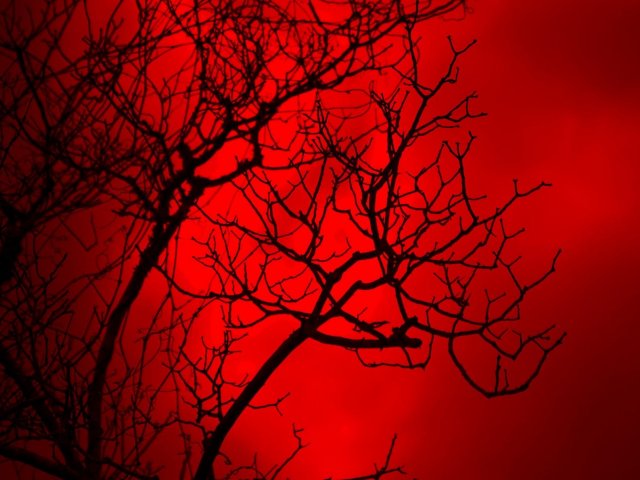 Vermelho