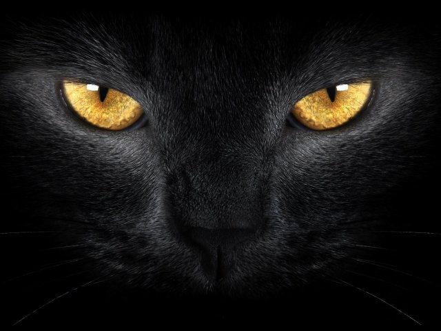 Preto