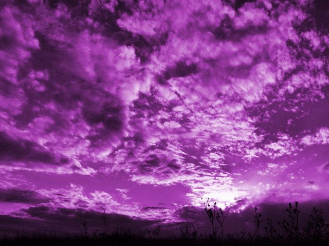 Roxo