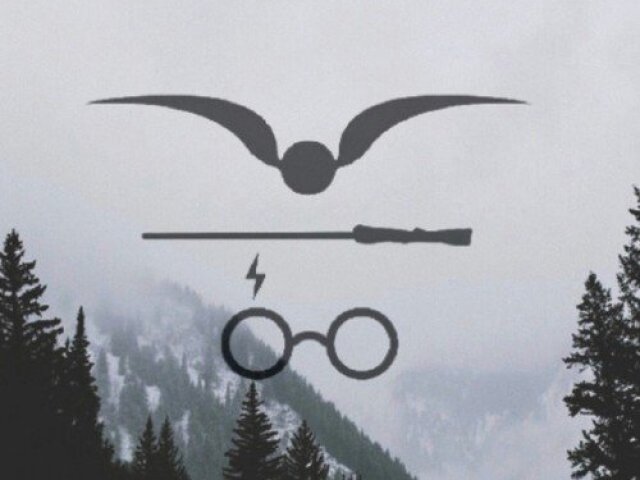 Quem você seria em Harry Potter?